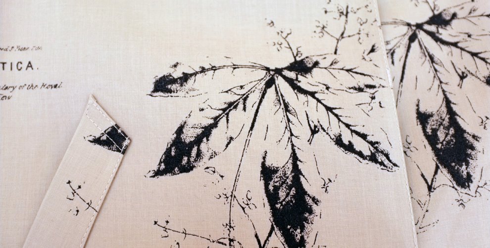 416458_347571248611462_2028550688_o