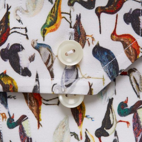oiseaux