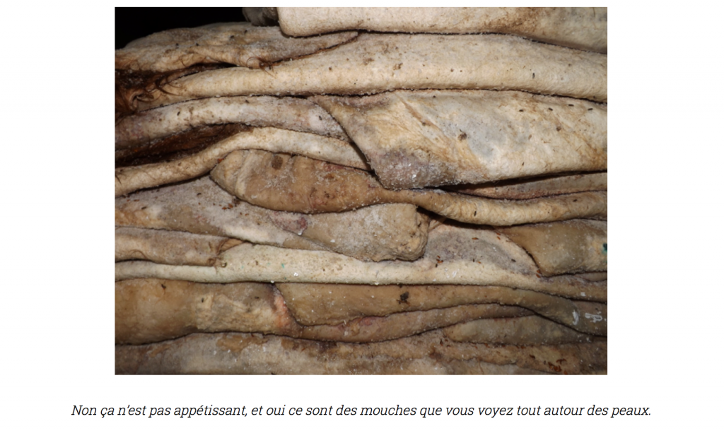 Capture d’écran 2017-06-06 à 14.10.26