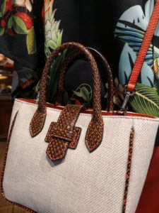 Sac lin et lézard
